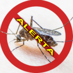 11 NUEVOS CASOS DE DENGUE EN LA RIOJA