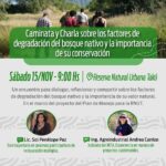 Caminata y reflexión en la Reserva Takú: una invitación a reconectarse con la naturaleza
