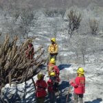 Continúan las tareas en incendio de la zona Sur mientras que en zona Norte ya fue contenido