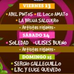 Entradas para la Chaya 2026