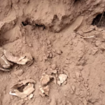 La Rioja: Restos óseos pertenecen a tres personas