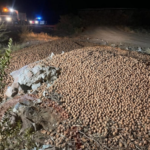 Escándalo en el sector agrícola: Intentó ocultar el faltante de 18 toneladas de nueces y terminó detenido en Nonogasta