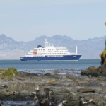 Tragedia y emergencia sanitaria en un crucero tras brote de hantavirus
