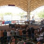La Rioja realizará el 5° Remate de Cabañas Riojanas en Córdoba